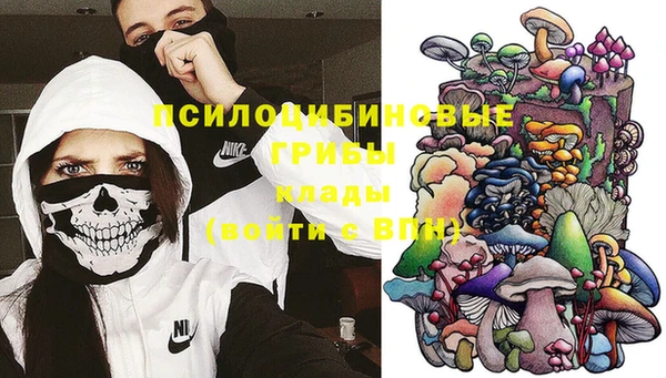 метадон Алексин