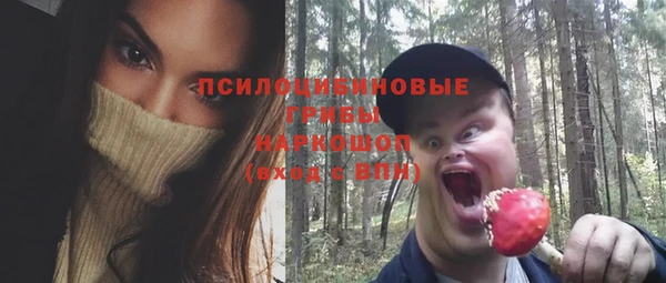 метадон Алексин